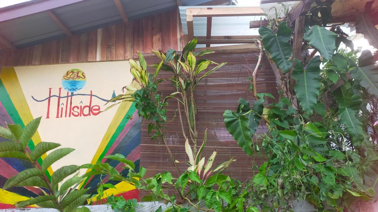 סן ויסנטה Mil'S Hillside Tourist Inn מראה חיצוני תמונה